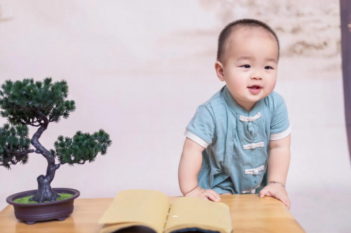 梅河口可爱的企鹅宝宝